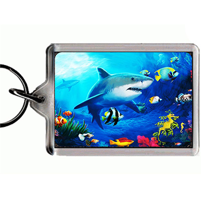 3D KEYRING SHARK